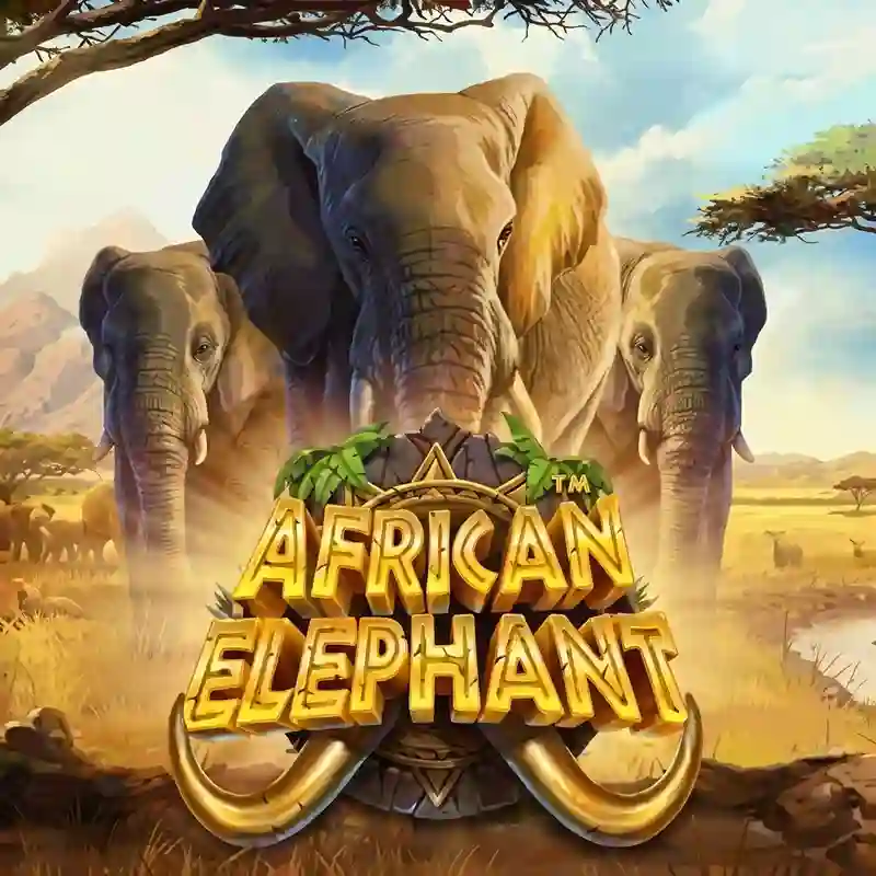 Slot African Elephant
